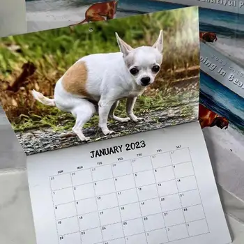 Календарь для собак на 2023 год, Ежемесячный Настольный Календарь с милыми животными, Забавный Календарь для собак, Подарок для домашнего Офиса, Планировщик расписания, Органайзер, Принадлежности